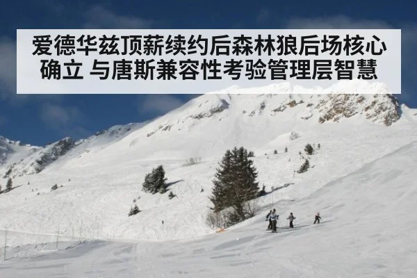 爱德华兹顶薪续约后森林狼后场核心确立 与唐斯兼容性考验管理层智慧
